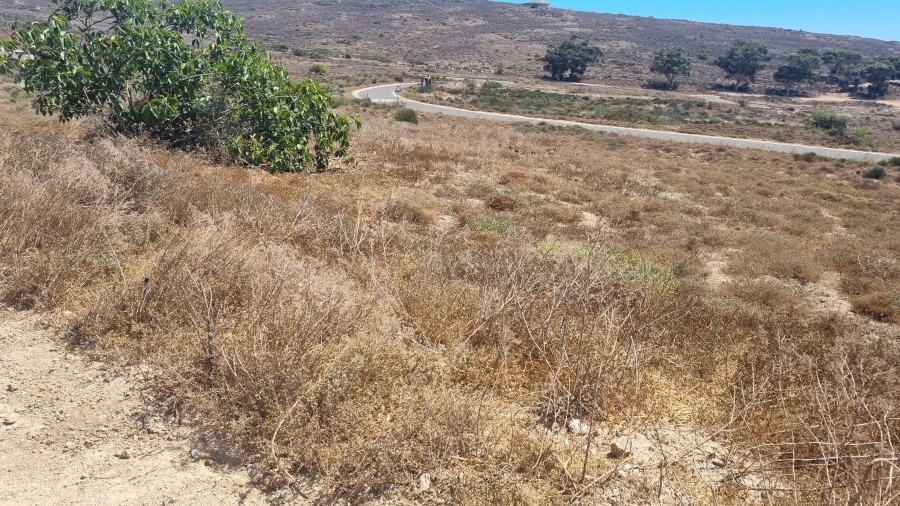 0 Bedroom Property for Sale in St Helena Views Western Cape